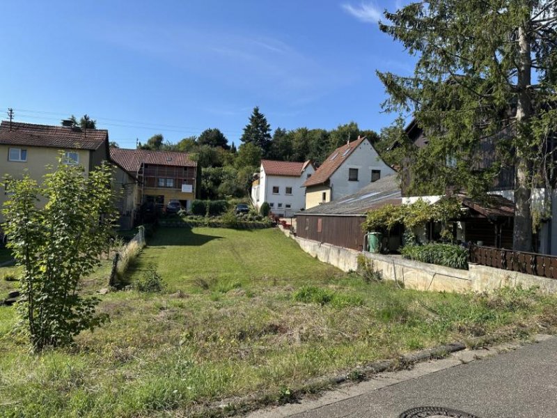 Schweigen-Rechtenbach Baulücke-bebaubar mit freistehendem Wohnhaus Grundstück kaufen
