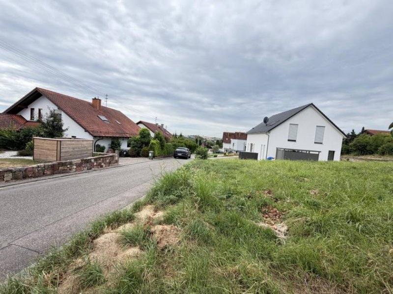 Schweigen-Rechtenbach Baulücke in sonniger Lage und sehr gepflegter Wohnumgebung-inkl. Baugenehmigung Grundstück kaufen