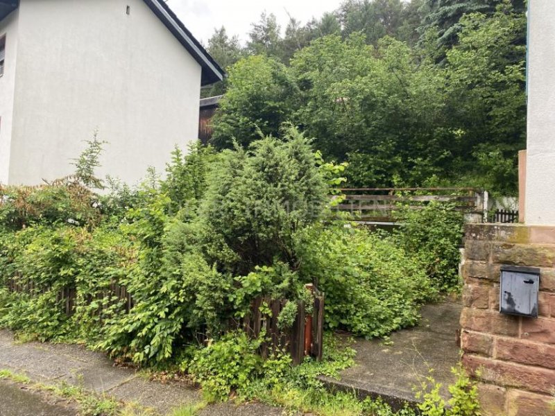 Erlenbach bei Dahn Charmantes Einfamilienhaus in idyllischer Lage - Sanierungsobjekt mit Perspektive Haus kaufen