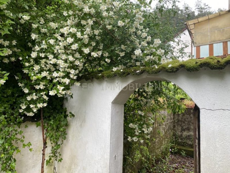 Erlenbach bei Dahn Charmantes Einfamilienhaus in idyllischer Lage - Sanierungsobjekt mit Perspektive Haus kaufen