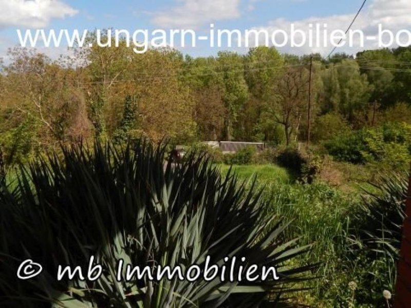 Bár Teilrenoviertes Ferienhaus im Weinberg von Bár mit Blick über die Donau - Auen Haus kaufen