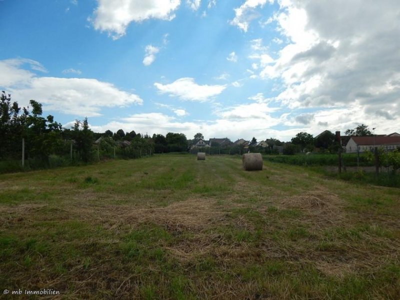 Somberek Charmanter Schwabenhof zum fertig renovieren in Somberek - Südungarn / Baranya Haus kaufen