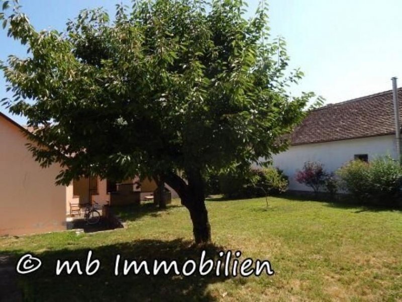 Kisjakobfalva Charmantes Schwabenhaus mit kleinem Pool in Kisjakobfalva - Südungarn / Baranya Haus kaufen