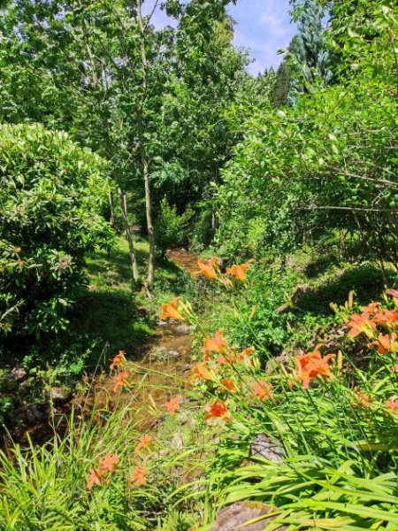 Durbach Einzigartiges Mehrfamilienhaus/Bauernhof mit 3,7 ha Fläche und Brennerei in unverbaubarer Traumlage Haus kaufen
