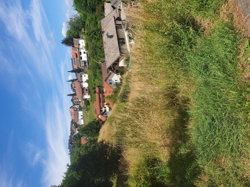 Bühlertal Traumhaftes Baugrundstück, teilweise im Landschaftsschutzgebiet mit unverbaubarer Aussichtslage Grundstück kaufen