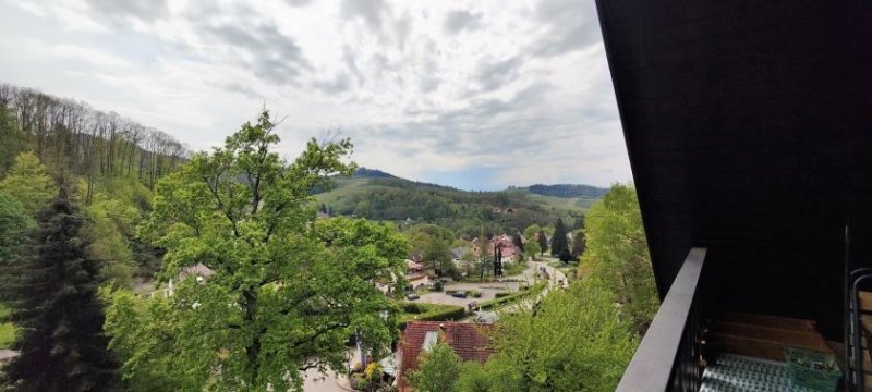 Sasbachwalden geräumige 1-Zimmer Dachgeschoss-Wohnung mit gemütlichem Balkon, Außenstellplatz und Kellerabteil Wohnung kaufen