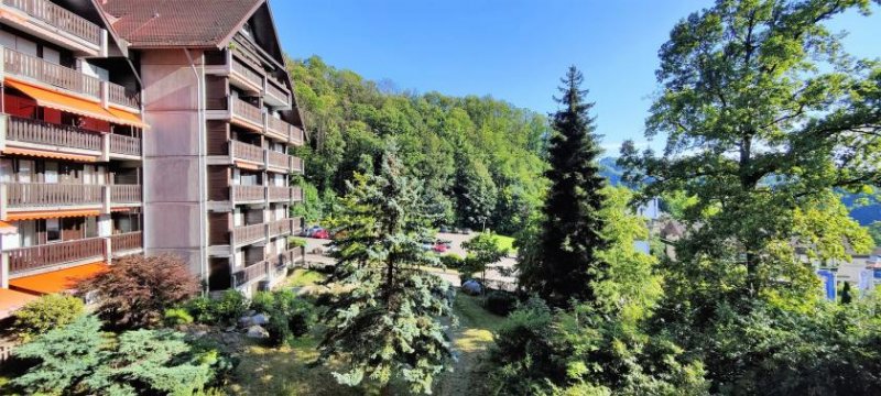 Sasbachwalden idyllische 3-Zimmer Etagenwohnung mit herrlichem Ausblick - perfekt zum Wohnen und Entspannen Wohnung kaufen