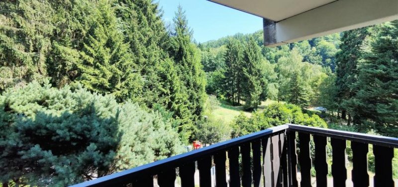 Sasbachwalden möblierte 1-Zimmer Eigentumswohnung im Landhausstil - Ferienwohnung oder dauerhaftes Wohnen Wohnung kaufen