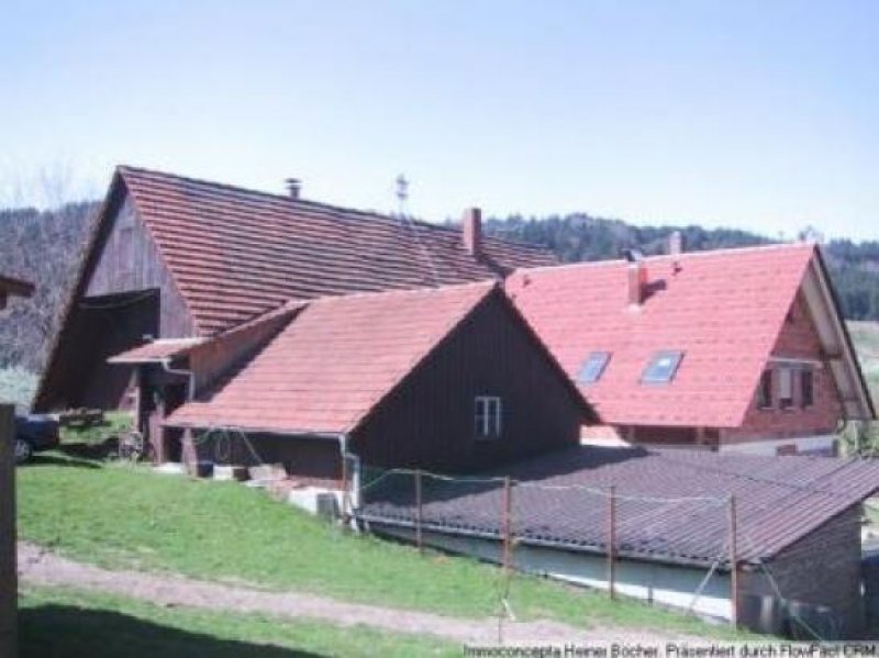 Seebach Gaststätte mit Ferienwohnungen oder schlicht ein großzügiges Wohnhaus! Gewerbe kaufen