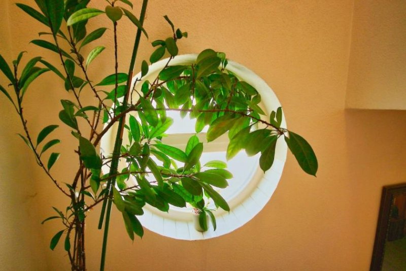 Villingen-Schwenningen 3,5 Zimmer Maisonette mit vielen Extras Wohnung kaufen