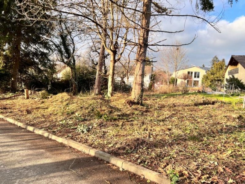 Hilzingen Seltene Gelegenheit: 1.214 m² Mischbaufläche Baugrundstück, Gewerbegrundstück - Grundstück Grundstück kaufen