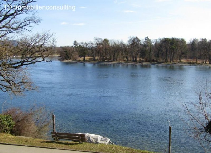 Büsingen am Hochrhein **BAUPLATZ MIT RHEINBLICK IN BÜSINGEN** Grundstück kaufen