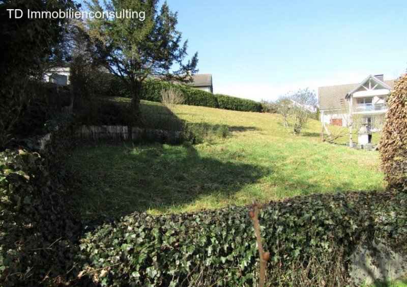 Büsingen am Hochrhein **BAUPLATZ MIT RHEINBLICK IN BÜSINGEN** Grundstück kaufen