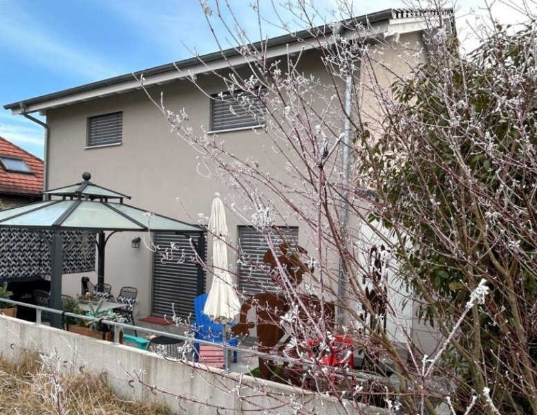 Büsingen am Hochrhein **MIT Aufzug**1A ausgestattetes EFH von 2021** Haus kaufen