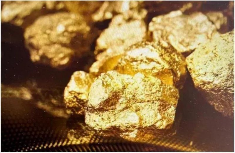 Sinop Goldmine in Brasilien mit über 7 Mio. Unzen Reservepotenzial Gewerbe kaufen