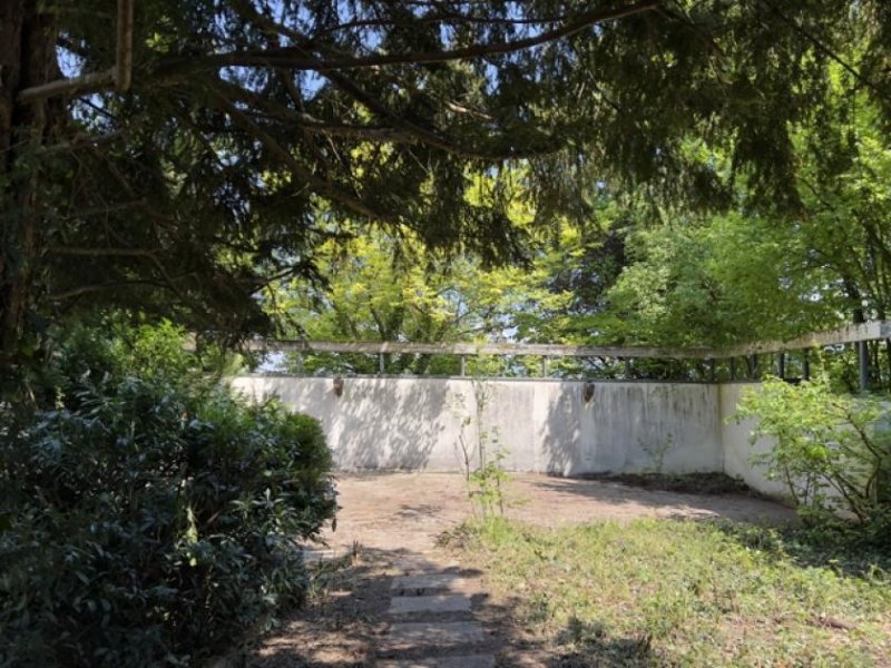 Bad Krozingen Generationenhaus Haus kaufen