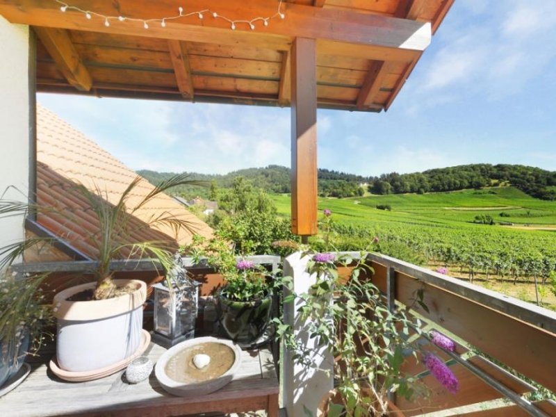 Ballrechten-Dottingen Exklusive Lage mit wunderbarem Blick über die Reben - Haus mit 3 Wohnungen Haus kaufen
