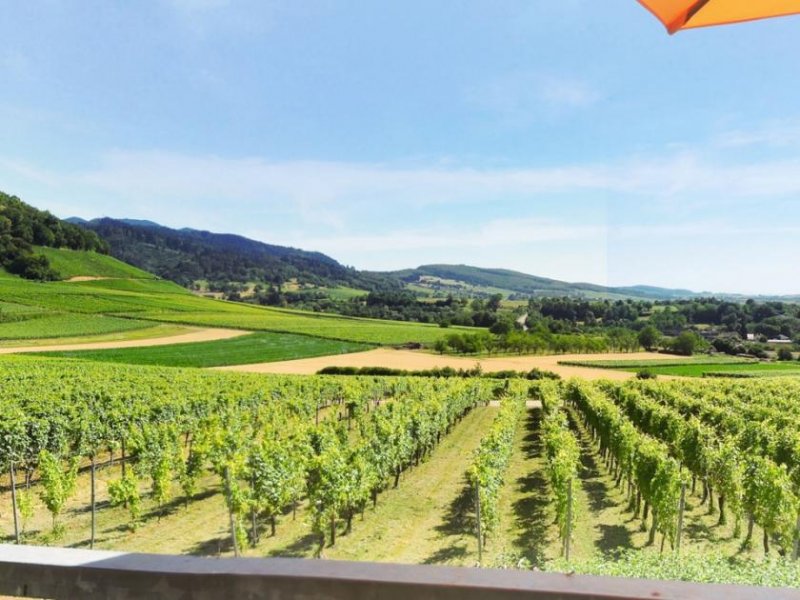 Ballrechten-Dottingen Exklusive Lage mit wunderbarem Blick über die Reben - Haus mit 3 Wohnungen Haus kaufen