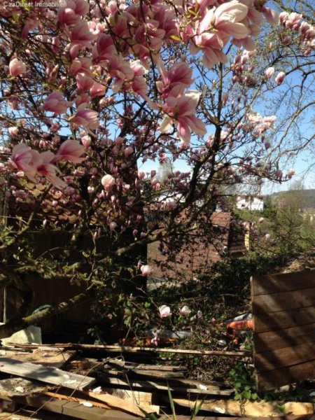 Lörrach Einmalige Lage in Lörrach-Brombach (Bühl) Grundstück kaufen