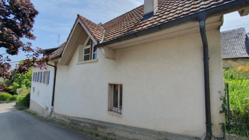 Efringen-Kirchen 1-2 FH mit 2 Ökonomiegebäuden, 2 Gar. & 2 Gärten Haus kaufen