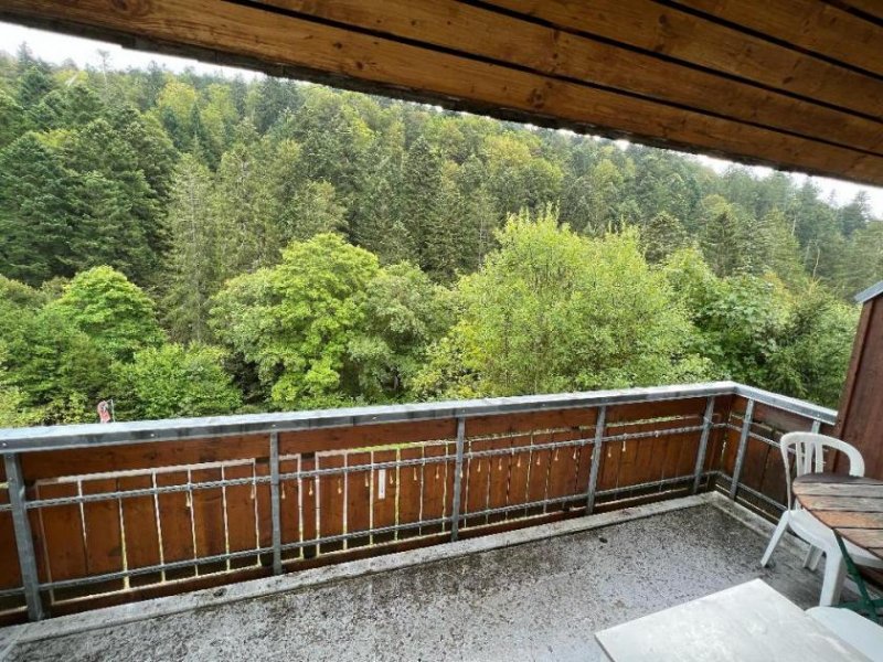 Todtmoos 1-Zimmerappartement mit TG-Stellplatz inmitten von Todtmoos Wohnung kaufen