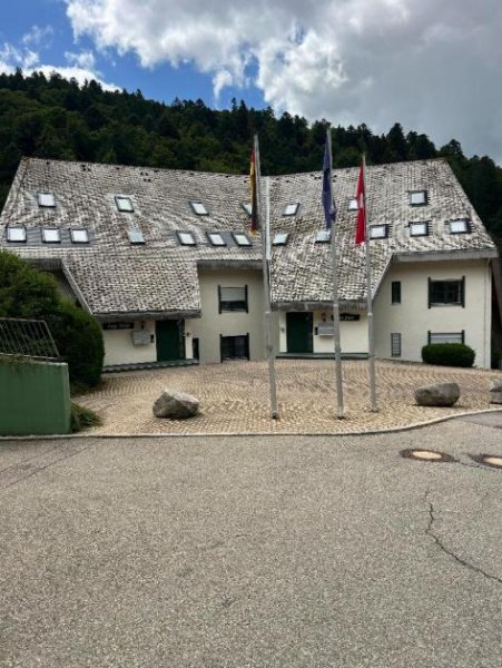 Todtmoos 1-Zimmerappartement mit TG-Stellplatz inmitten von Todtmoos Wohnung kaufen