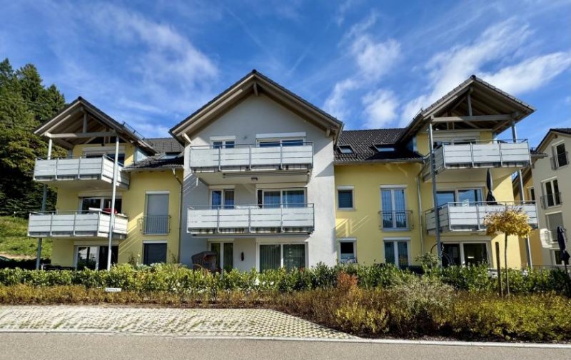 Lauchringen Grenznahe 4 Zi. Galerie DG mit Balkon ca. 112 m² - Wohnung 9 - Siegfriedstr. 4, 79787 Lauchringen - Neubau KFW Wohnung kaufen