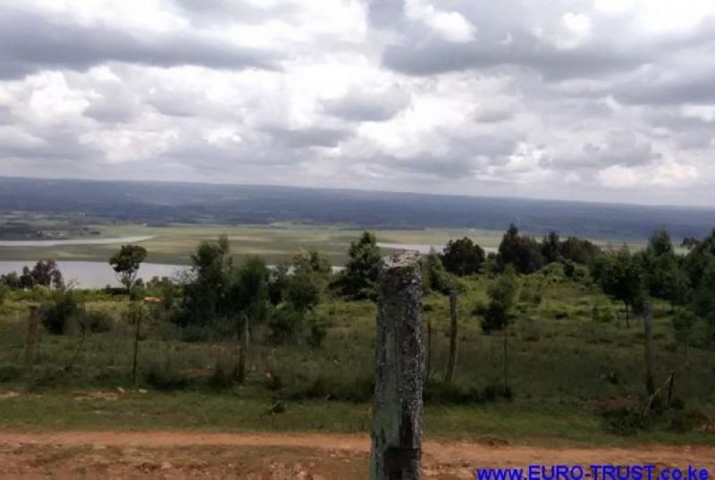 Nyandarua 15 Acres Nyandarua (Central Province) Grundstück kaufen