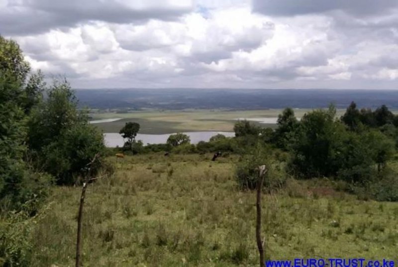 Nyandarua 15 Acres Nyandarua (Central Province) Grundstück kaufen