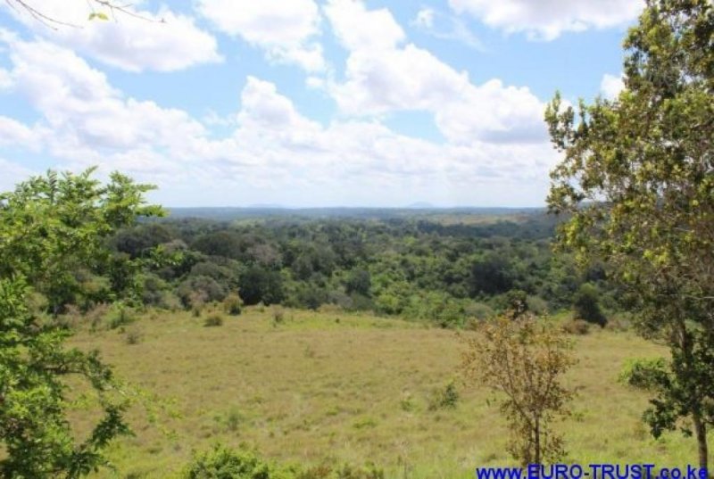Shimba Hills A MUST SEE PROPERTY YOU WILL LOVE. Grundstück kaufen