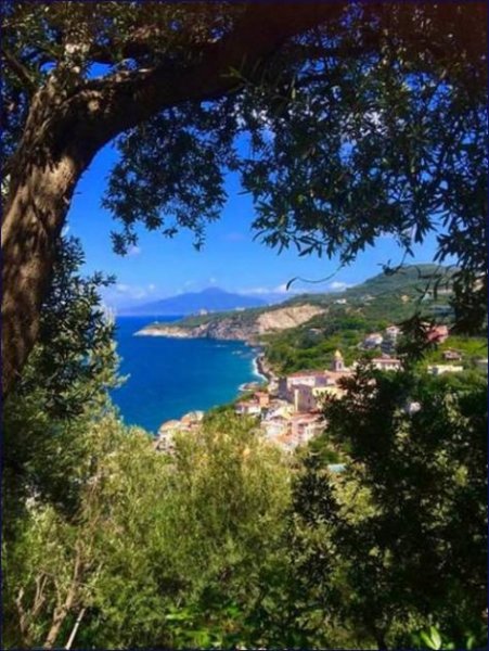 Massa Lubrense ***Neapoli, Massa Lubrense, Hotel 1 km vom Meer von Capri entfernt*** Haus kaufen