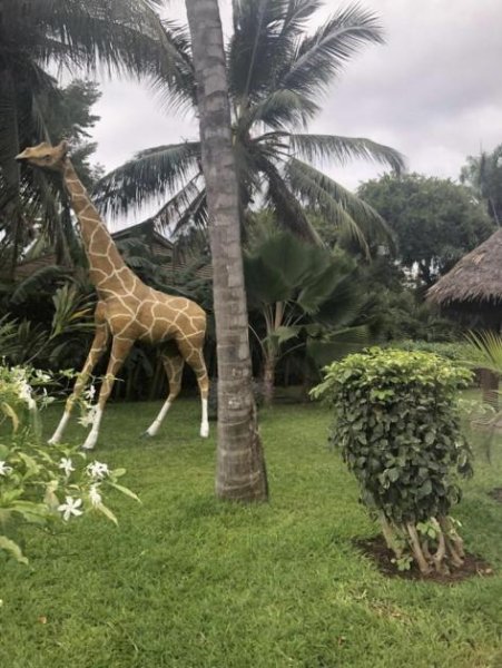 Malindi gepflegte Villa in bewachten Resort Haus kaufen