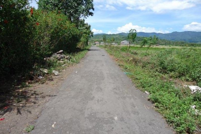Seririt Beachfront - Baugrundstück Bali Grundstück kaufen