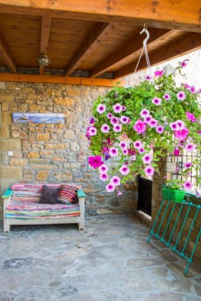 Palio Pedino Lucy`s house Haus kaufen