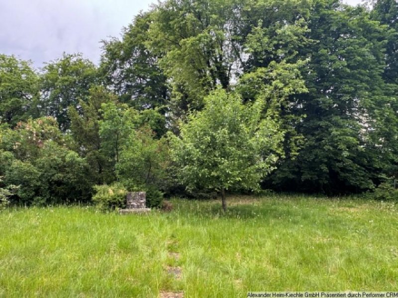 München Münchens absolute Bestlage! Grundstück kaufen