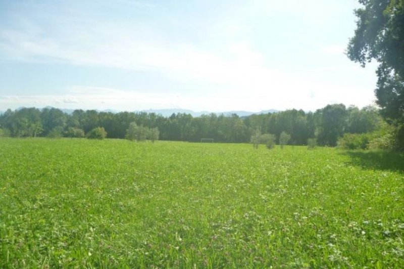 Weilheim in Oberbayern Süd-SüdWest von Weilheim in traumhafter Lage mit Blick in die Alpen Grundstück kaufen