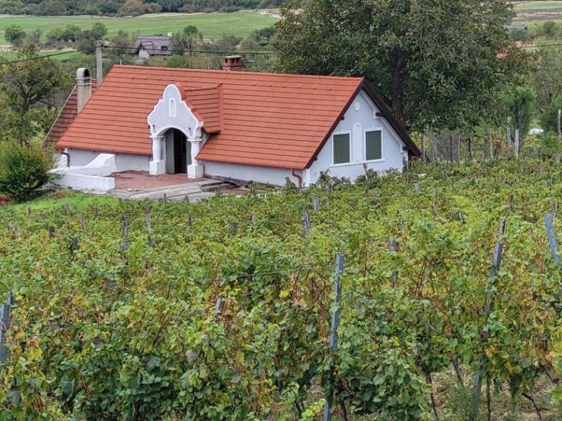 Aszófö Weinberg in Aszófö-Öreghegy am Balaton-Nordufer, 6334 m² Haus kaufen