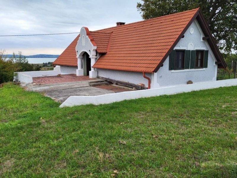 Aszófö Weinberg in Aszófö-Öreghegy am Balaton-Nordufer, 6334 m² Haus kaufen