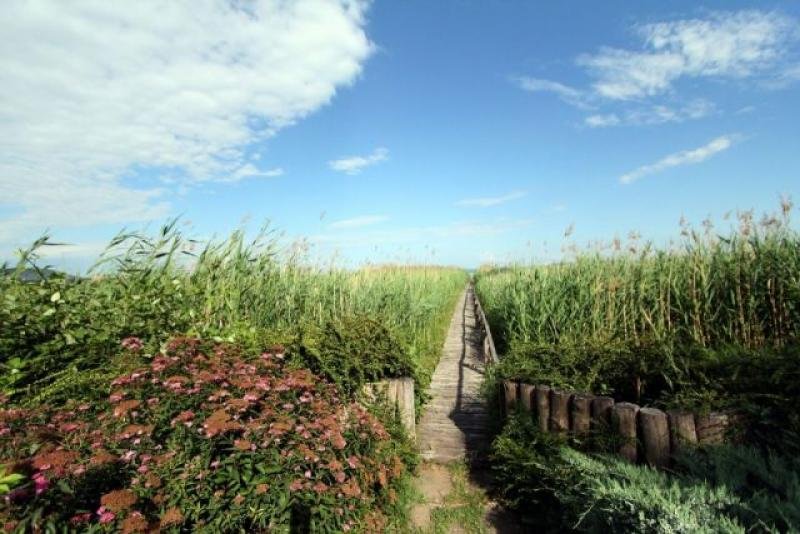 Abrahámhegy Exklusives Ferienhaus direkt am Ufer vom Plattensee Haus kaufen