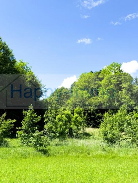 Rimsting 3 Grundstücke - 14286 qm Bauerwartungsland bzw. Wald in Rimsting Otterkring Grundstück kaufen