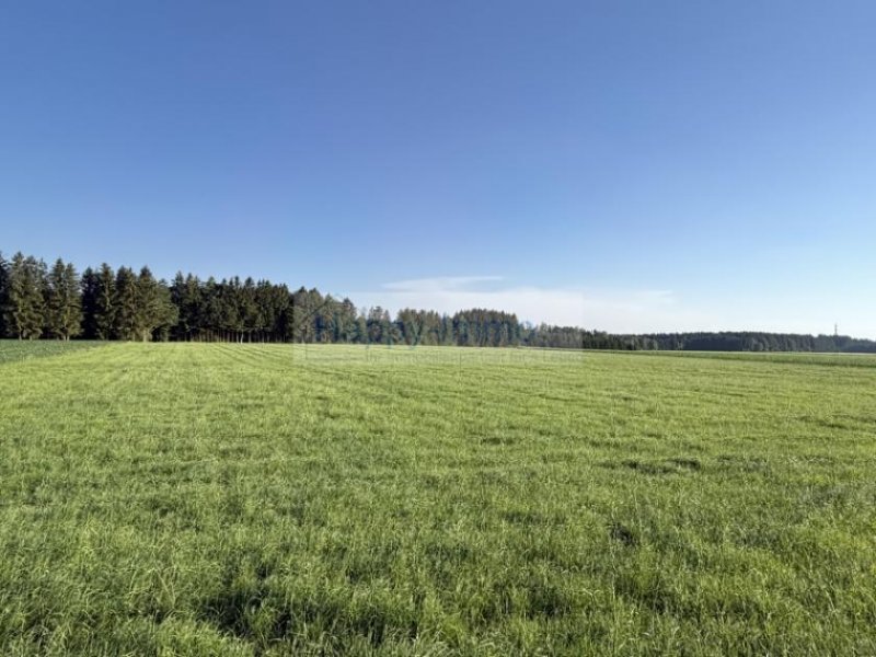 Otterfing Grundstück zu 500 qm in Otterfing Grundstück kaufen