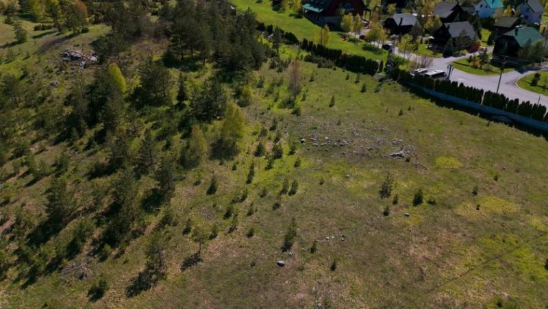 Žabljak Land plot for the construction of a hotel complex in Žabljak Gewerbe kaufen