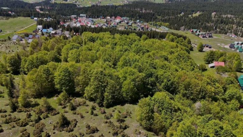 Žabljak Land plots with urban utilities in a private area of Žabljak Grundstück kaufen
