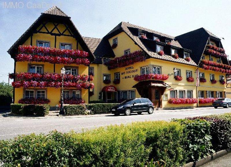 Cheval-Blanc Schöne und stilvolle Villa mit viel Umschwung im Herzen der Provence und mit Swimming Pool Haus kaufen