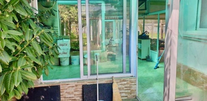 Singurlare Kleines charmantes Einfamilienhaus im Bezirk Burgas Haus kaufen