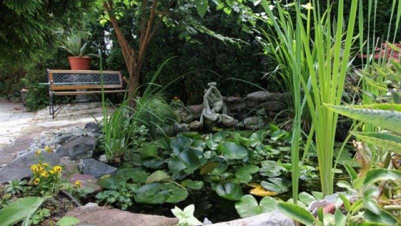 Balatonboglár Ihr Ferienhaus am Plattensee Haus kaufen