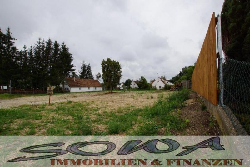 Schrobenhausen Attraktives Baugrundstück mit gutem Schnitt in Schrobenhausen - EFM, DH, MFH - Ein Objekt von SOWA Immobilien & Finanzen
