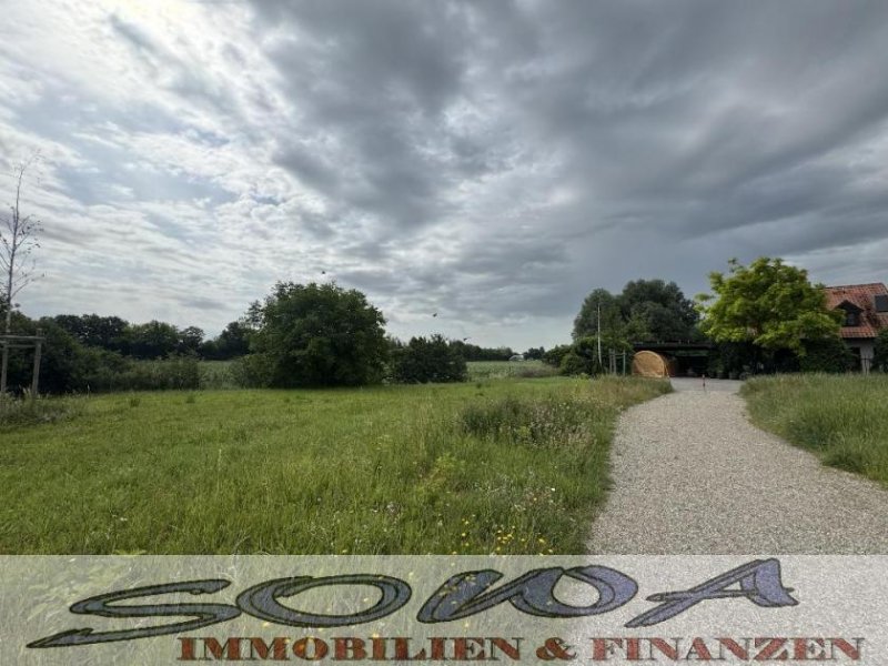 Neuburg an der Donau Baugrundstück Neuburg Heinrichsheim ohne Bauzwang - Ein Objekt von Ihrem Immobilienpartner SOWA Immobilien und Finanzen kaufen