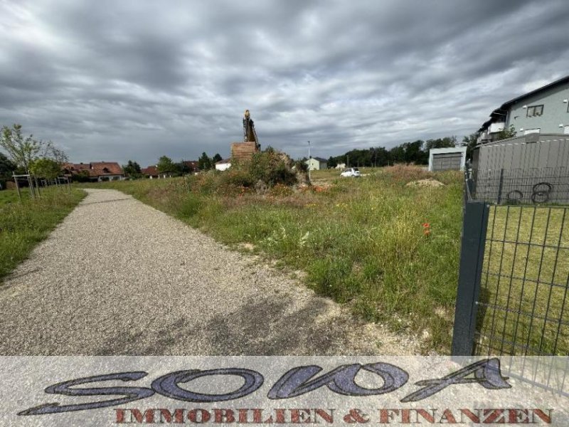 Neuburg an der Donau Baugrundstück ohne Bauzwang für eine Doppelhaushälfte in Neuburg Heinrichsheim - Ein Objekt von Ihrem Immobilienpartner SOWA