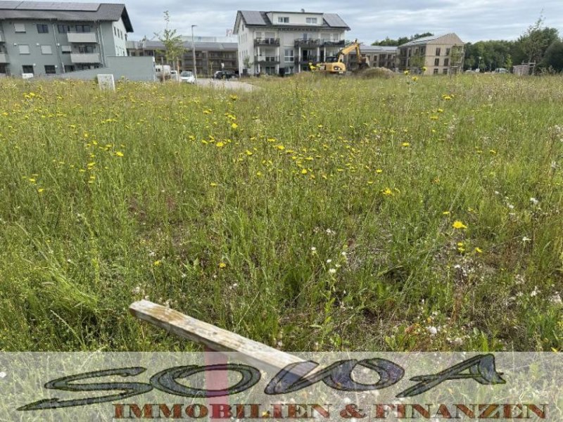 Neuburg an der Donau Gut geschnittenes Baugrundstück ohne Bauzwang in Neuburg Heinrichsheim - Ein Objekt von Ihrem Immobilienpartner SOWA Immobilien